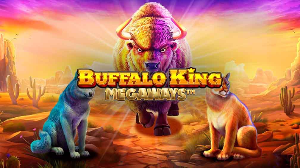 Buffalo King